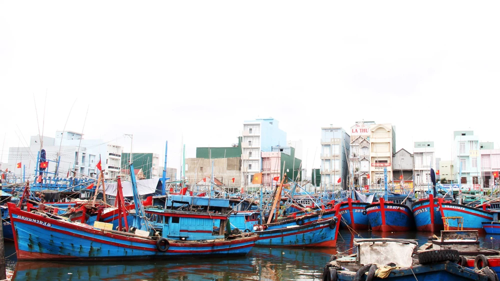 Cảng cá Tam Quan đang bị bồi lấp, quá tải