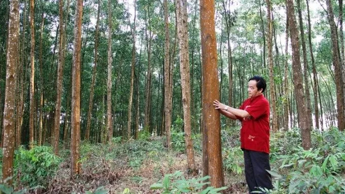 Ảnh minh họa