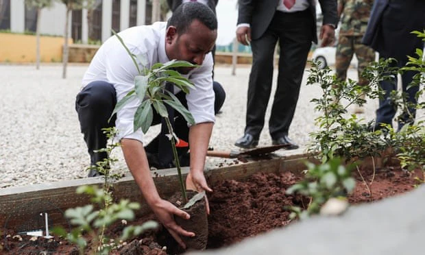 Thủ tướng Ethiopia Abiy Ahmet tham gia trồng cây xanh cùng người dân. Ảnh: The Guardian