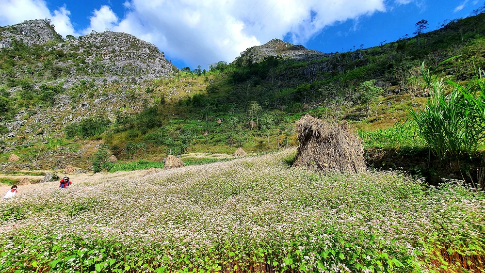 Tôi đi du lịch vùng xanh