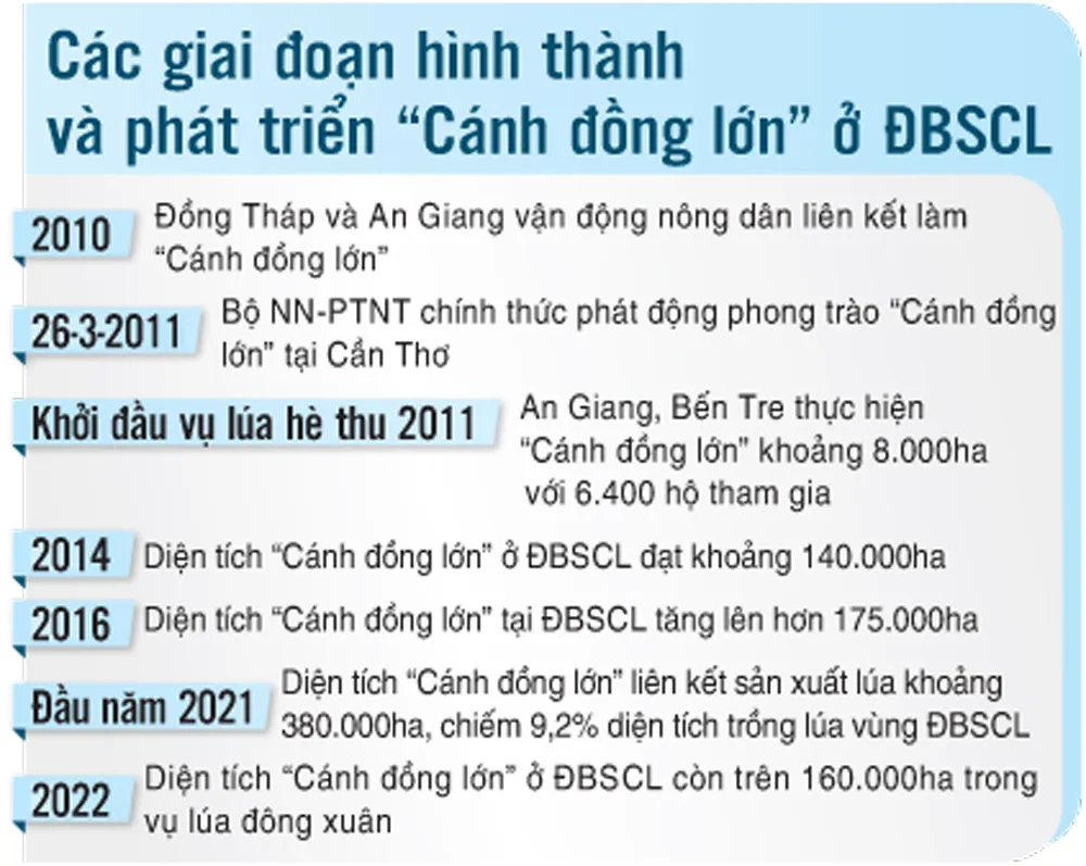Để Cánh đồng lớn thật sự lớn - Bài 1: Khởi động rầm rộ, nhưng teo tóp dần ảnh 2
