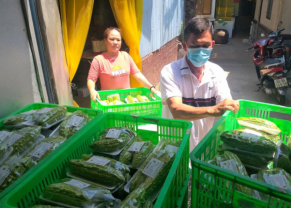 Trẻ trung Long Khánh ảnh 3 Trẻ trung Long Khánh ảnh 3