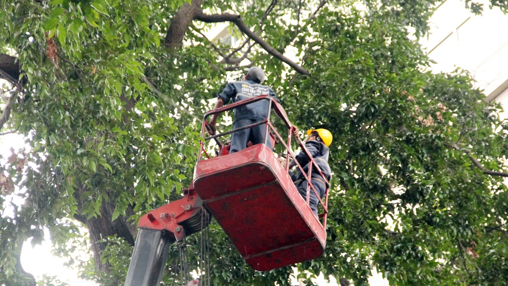 Thi công, làm việc trên cao cần phải được trang bị đồ bảo hộ để đảm bảo an toàn