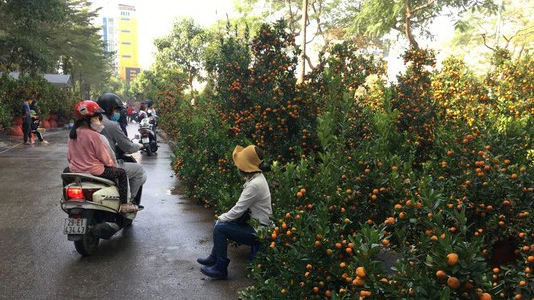 Hà Nội: Nhộn nhịp chợ hoa, siêu thị