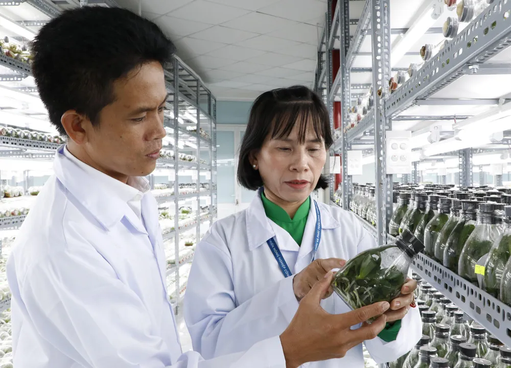 Phong trào thi đua sáng tạo đã cho ra đời nhiều công trình, sản phẩm phục vụ đời sống người dân