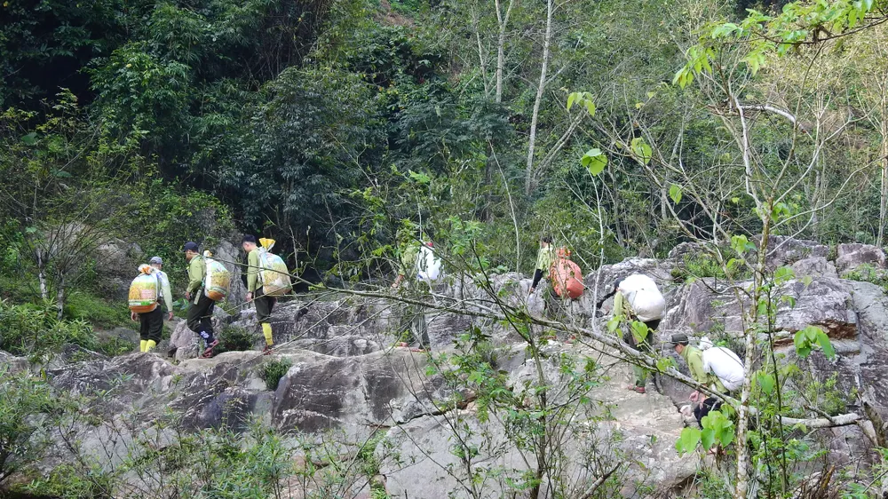 Những bước chân lặng lẽ vượt suối, băng rừng Những bước chân lặng lẽ vượt suối, băng rừng