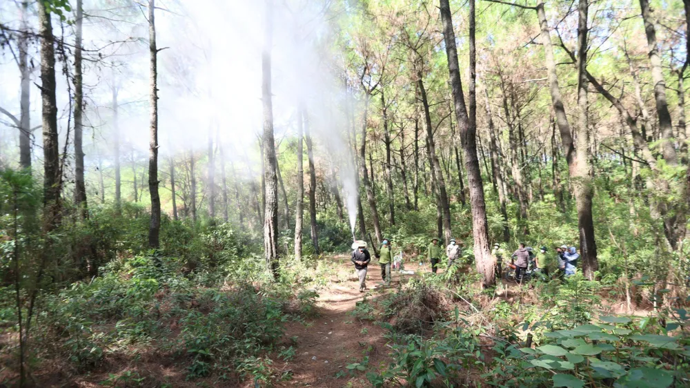 Lượng chức năng phun thuốc phòng trừ sâu róm trên diện rộng