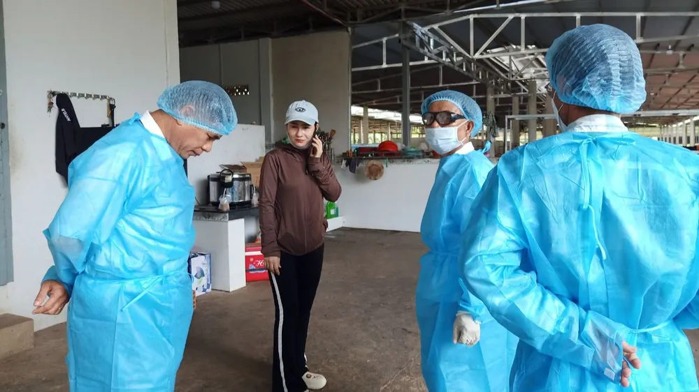 Lượng chức năng cũng đã tiêu hủy 85 con heo có kết quả dương tính virus dịch tả châu Phi Lượng chức năng cũng đã tiêu hủy 85 con heo có kết quả dương tính virus dịch tả châu Phi