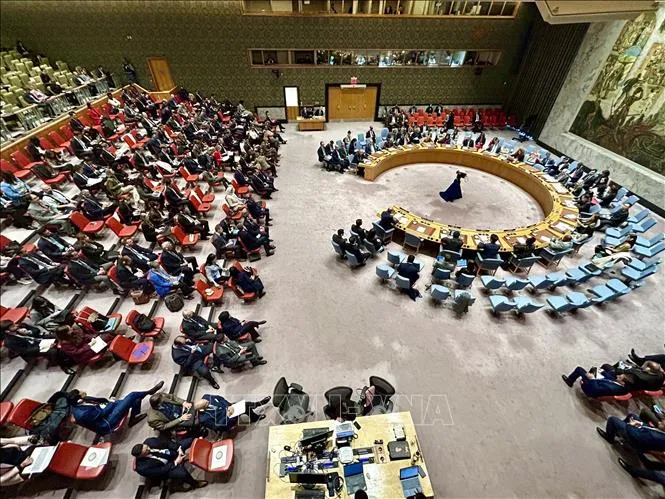 Toàn cảnh phiên thảo luận mở ngày 24-10-2023 của HĐBA LHQ về xung đột Israel - Hamas. Ảnh: TTXVN Toàn cảnh phiên thảo luận mở ngày 24-10-2023 của HĐBA LHQ về xung đột Israel - Hamas. Ảnh: TTXVN