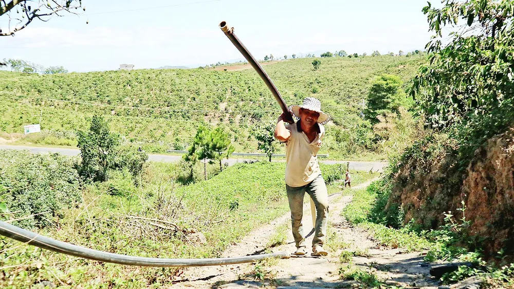 Ảnh minh họa nang nong den som 8.jpg