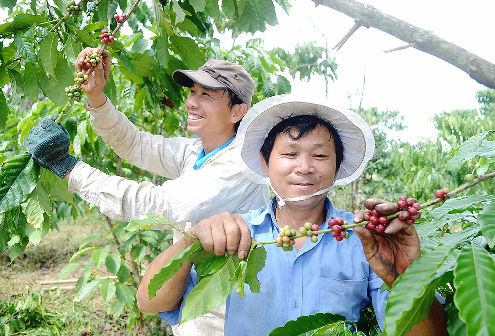 Tận dụng cơ hội từ các FTA ảnh 1 Tận dụng cơ hội từ các FTA ảnh 1