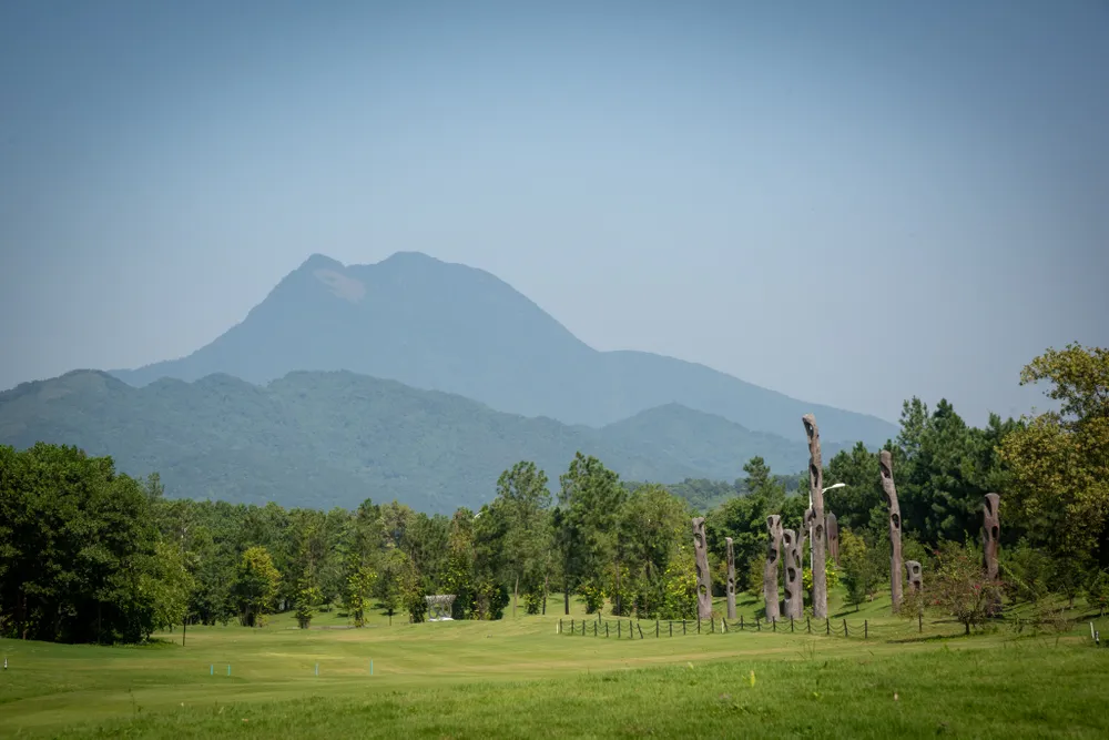 Art In The Forest 2018: Khu rừng nghệ thuật độc đáo nằm giữa thiên nhiên xanh cổ tích ảnh 1