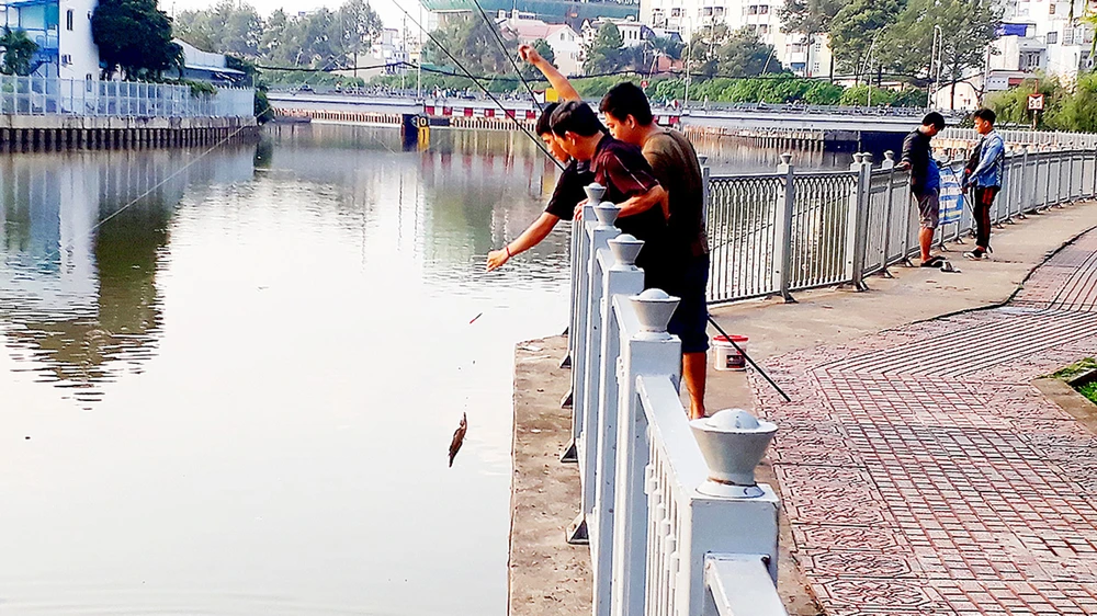 Giữa phố buông cần, bất chấp biển cấm