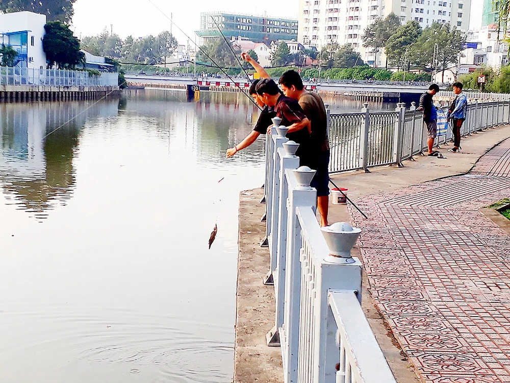 Giữa phố buông cần, bất chấp biển cấm ảnh 1 Giữa phố buông cần, bất chấp biển cấm ảnh 1