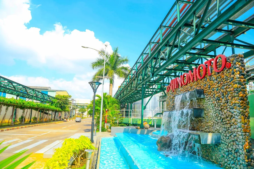 Phát triển bền vững cùng bảo vệ môi trường ở Ajinomoto Việt Nam ảnh 1