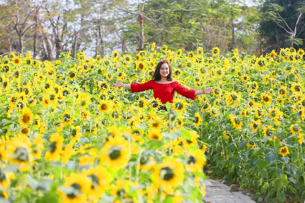 Phát cuồng với những góc check-in tại Lễ hội hoa xuân Sun World HaLong Complex ảnh 9