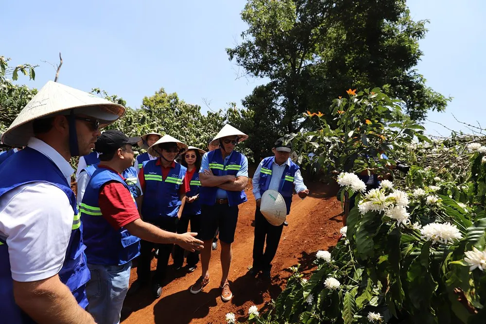 Golf thủ huyền thoại Greg Norman thăm vùng cà phê huyền thoại CADA ảnh 2 Golf thủ huyền thoại Greg Norman thăm vùng cà phê huyền thoại CADA ảnh 2