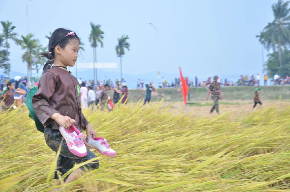 Hàng trăm “nông dân nhí” ướt đẫm mồ hôi... gặt lúa ảnh 15