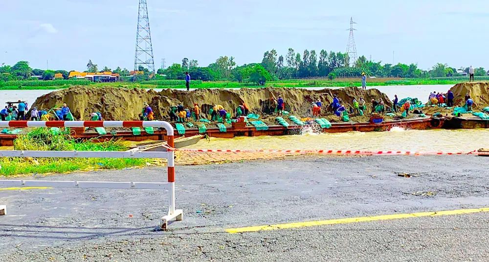 ĐBSCL chật vật chống sạt lở ảnh 1 ĐBSCL chật vật chống sạt lở ảnh 1