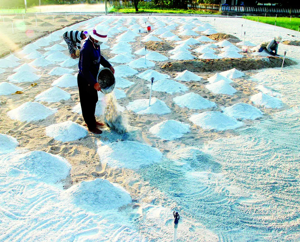 Đặc sản miền biên viễn ảnh 5 Đặc sản miền biên viễn ảnh 5