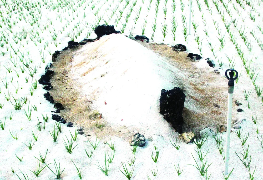 Đặc sản miền biên viễn ảnh 2 Đặc sản miền biên viễn ảnh 2