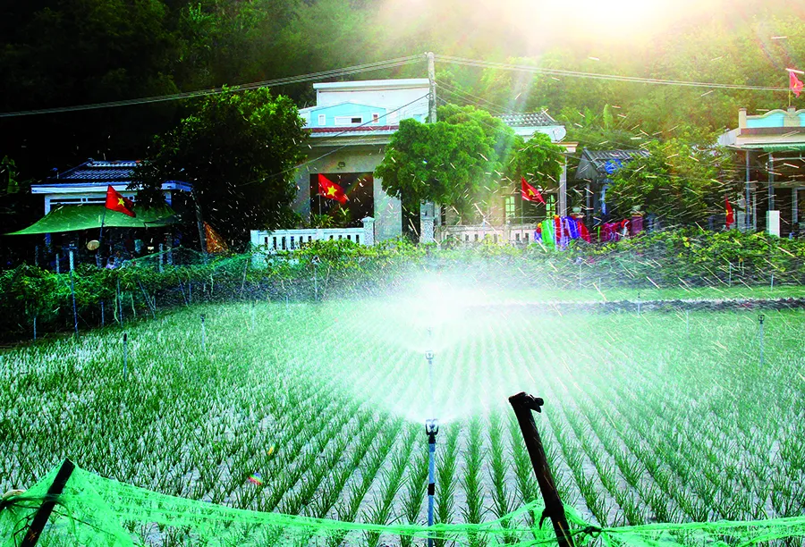 Đặc sản miền biên viễn ảnh 3 Đặc sản miền biên viễn ảnh 3