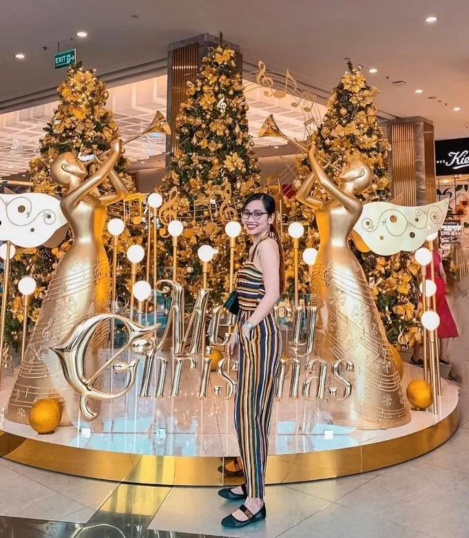 Cây thông “siêu cao khổng lồ” và cây thông “biết bay” tại TPHCM, bạn đã thử chưa? ảnh 2