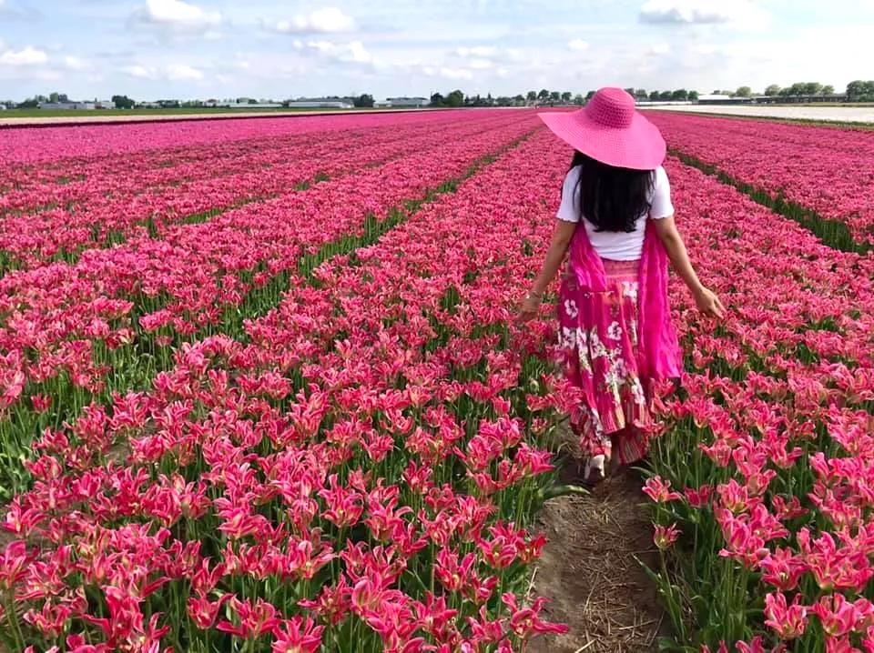 Hội hoa Keukenhof 2020: Đón khách online ảnh 1 Hội hoa Keukenhof 2020: Đón khách online ảnh 1
