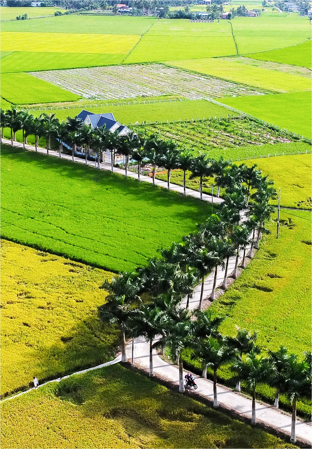 Xây dựng nông thôn mới với khí thế mới ảnh 2 Xây dựng nông thôn mới với khí thế mới ảnh 2