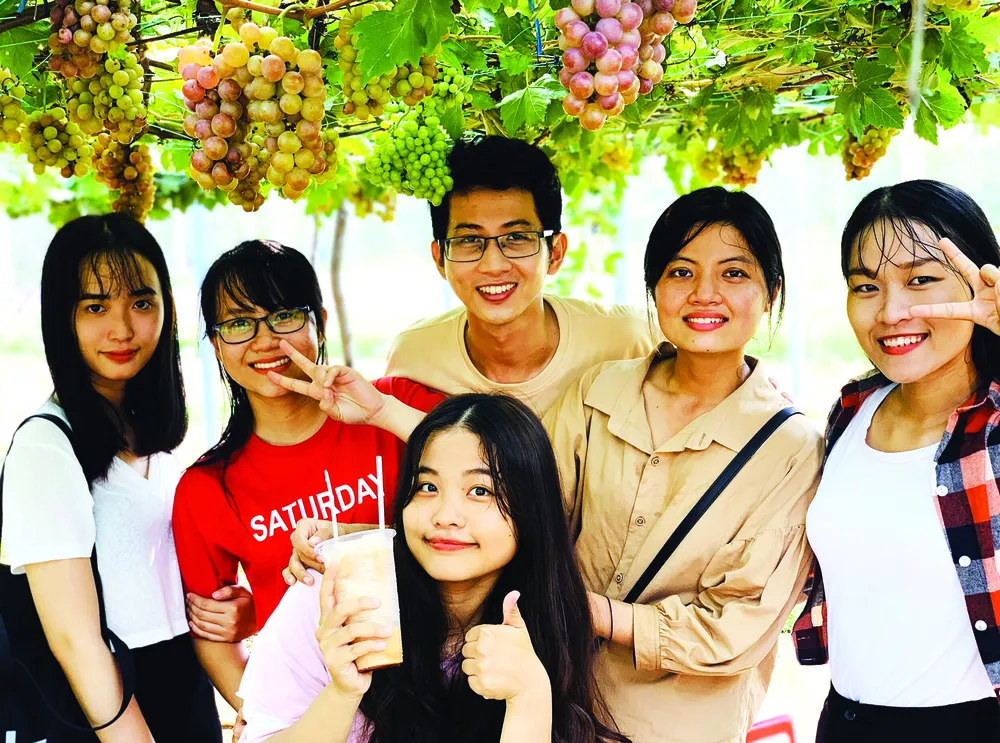 Khởi nghiệp trồng nho ở xứ Dừa ảnh 6 Khởi nghiệp trồng nho ở xứ Dừa ảnh 6