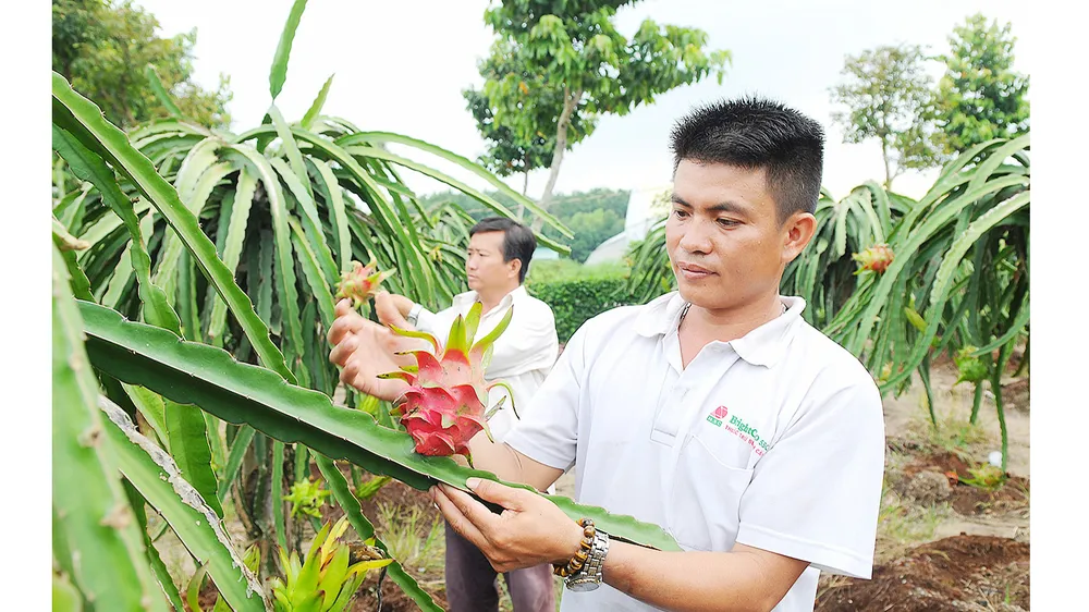 Cơ hội tăng xuất khẩu nông sản ảnh 1 Cơ hội tăng xuất khẩu nông sản ảnh 1