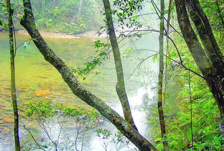 Giêng reo