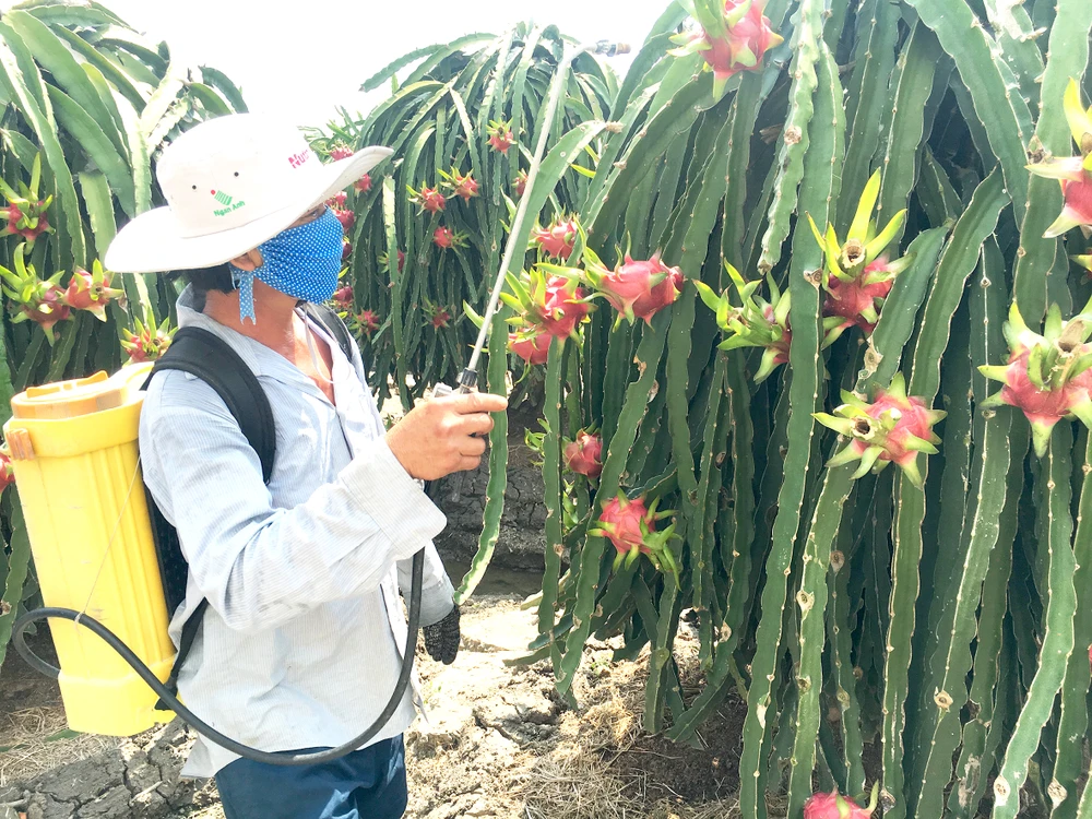 Để không còn “giải cứu” nông sản ảnh 1 Để không còn “giải cứu” nông sản ảnh 1