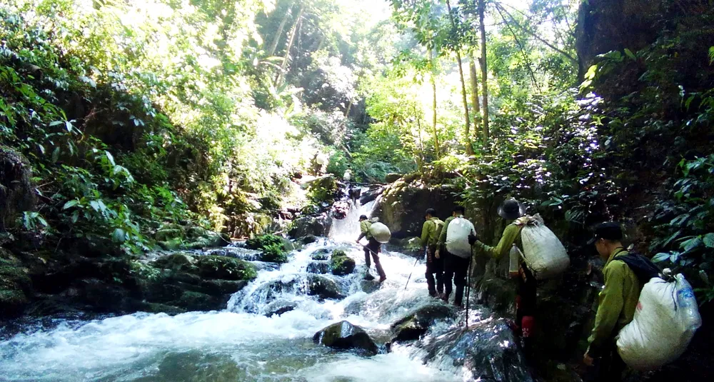 Dưới tán rừng già ảnh 6 Dưới tán rừng già ảnh 6