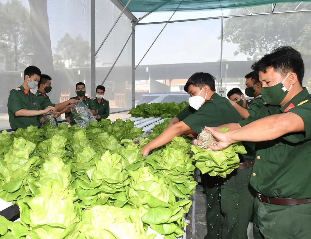 Lực lượng vũ trang TPHCM ra quân huấn luyện ảnh 7