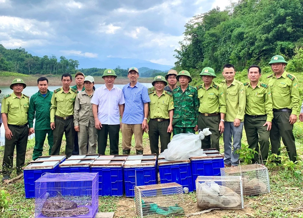 Cơ quan chức năng chứng kiến việc thả cá thể động vật hoang dã vào Vườn quốc gia Vũ Quang