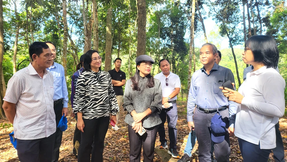 Liên kết phát triển du lịch TPHCM - Tây Nguyên ảnh 1 Liên kết phát triển du lịch TPHCM - Tây Nguyên ảnh 1