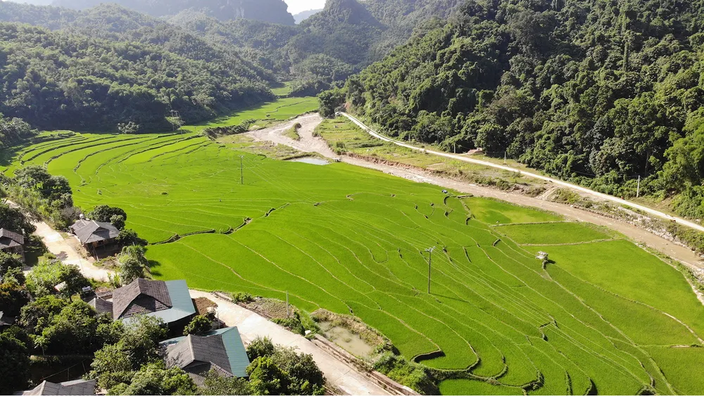 Sa Ná hồi sinh ảnh 4