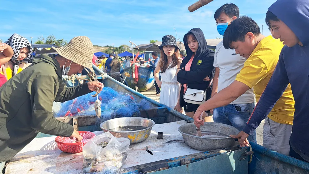Du khách ở bãi biển Hồ Tràm, huyện Xuyên Mộc chọn hải sản tươi sống ngay khi lên bờ Du khách ở bãi biển Hồ Tràm, huyện Xuyên Mộc chọn hải sản tươi sống ngay khi lên bờ