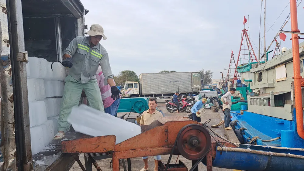 Đưa đá cây xuống tàu cá đánh bắt xa bờ đang neo đậu ở cảng Phước Tân, xã Phước Tỉnh, huyện Long Điền Đưa đá cây xuống tàu cá đánh bắt xa bờ đang neo đậu ở cảng Phước Tân, xã Phước Tỉnh, huyện Long Điền