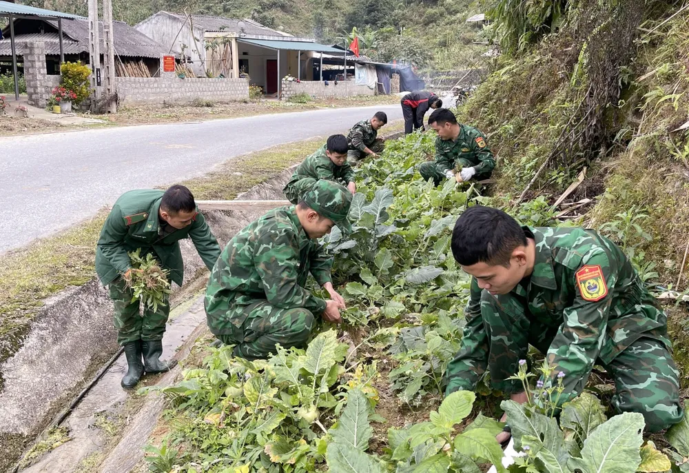 Các chiến sĩ bộ đội biên phòng ở huyện Vị Xuyên (tỉnh Hà Giang) giúp dân tăng gia sản xuất Các chiến sĩ bộ đội biên phòng ở huyện Vị Xuyên (tỉnh Hà Giang) giúp dân tăng gia sản xuất