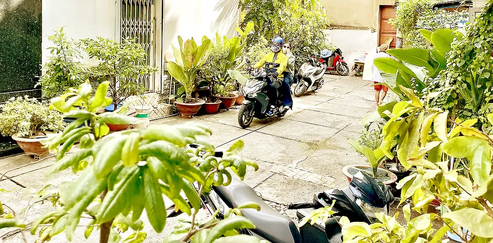 Hẻm 468 đường Trần Hưng Đạo, quận 5, TPHCM với cây xanh phủ khắp. Ảnh: HOÀNG HÙNG Hẻm 468 đường Trần Hưng Đạo, quận 5, TPHCM với cây xanh phủ khắp. Ảnh: HOÀNG HÙNG