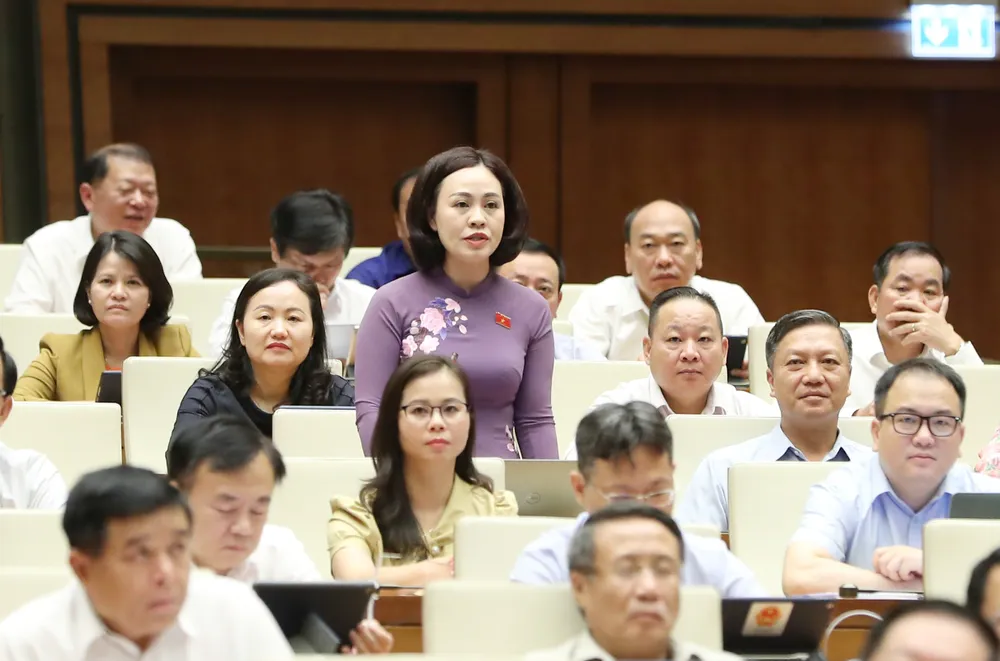 ĐB Trần Thị Hồng Thanh (Ninh Bình). Ảnh: QUANG PHÚC ĐB Trần Thị Hồng Thanh (Ninh Bình). Ảnh: QUANG PHÚC