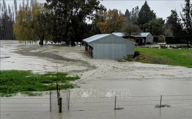 Ngập lụt do mưa lớn gần thị trấn Ashburton ở vùng Canterbury, New Zealand. Ảnh: AFP/TTXVN