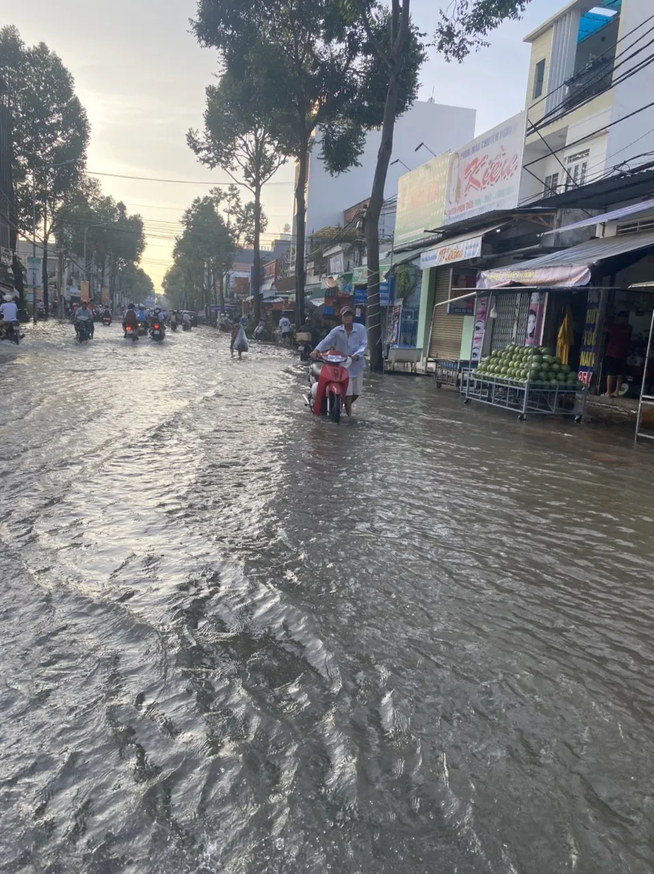 Dự báo trong tháng 11-2023, vùng hạ lưu ĐBSCL sẽ tiếp tục đối diện với triều cường lớn Dự báo trong tháng 11-2023, vùng hạ lưu ĐBSCL sẽ tiếp tục đối diện với triều cường lớn