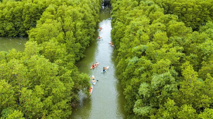 Điểm du lịch mới tại khu sinh thái thiên nhiên Cồn Chim (tỉnh Bình Định). Ảnh: NGỌC OAI anh-viber-2024-02-11-10-32-43-822-2842-7305.jpg