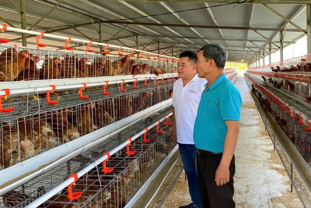 Ông Phạm Văn Quân, Giám đốc Công ty Checkee (phía trong) triển khai giải pháp truy xuất nguồn gốc gà và trứng gà cho cho sở chăn nuôi gà gen-h-z6642777686984_a6c608266131f7b4f916a9e0655143c9.jpg