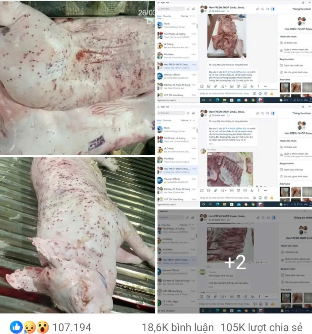 เนื้อหาสะท้อนการลักลอบนำหมูและไก่สกปรกเข้าสู่ตลาดแพร่หลายบนเฟซบุ๊ก 6da8f8010a55be0be744-2085-634.jpg