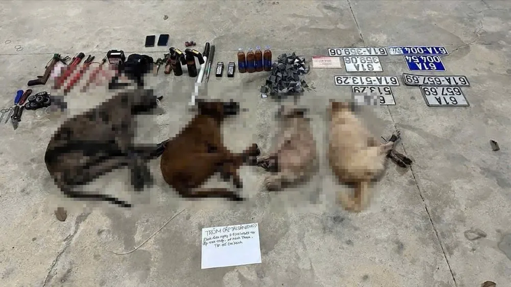 Tang vật lực lượng thu giữ trên xe ô tô