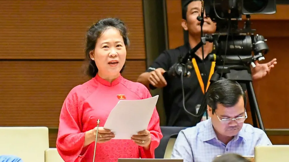 ĐB Tô Ái Vang (Cần Thơ) phát biểu tại phiên họp, chiều 14-11. Ảnh: VIẾT CHUNG